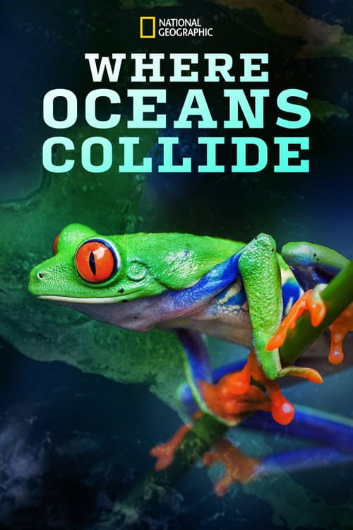 Where Oceans Collide (2018) poster