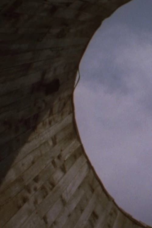 Inside Silo 11 (1969) poster