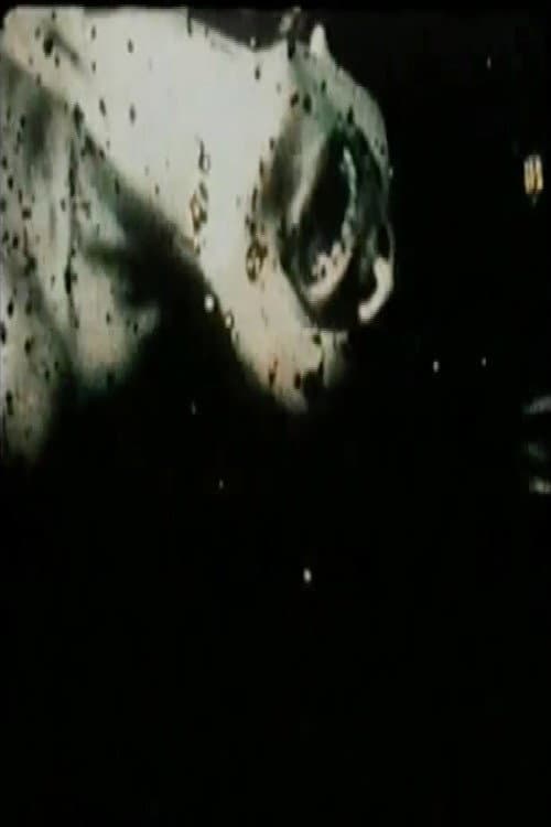 L'Amour réinventé (1979) poster