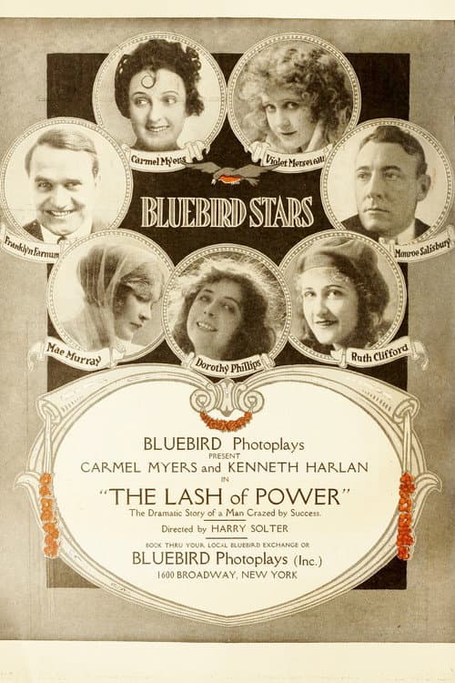 The Lash of Power (1917) poster