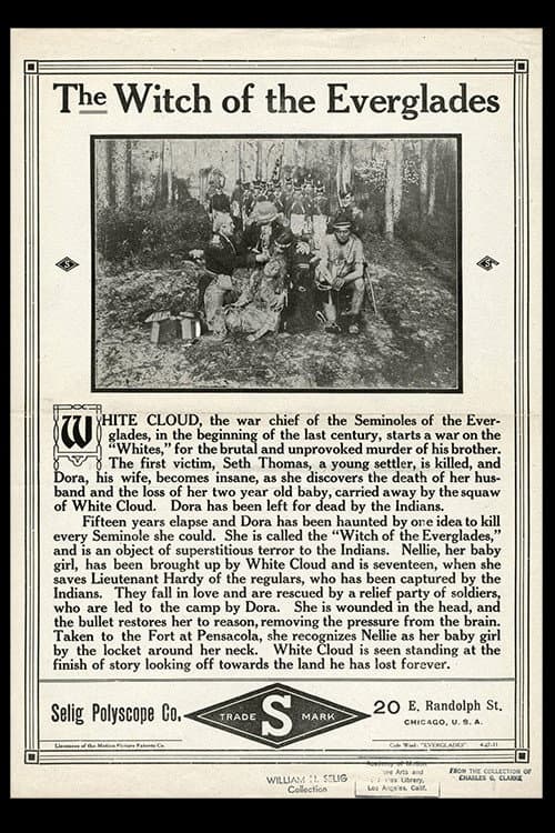 The Witch of the Everglades (1911) poster