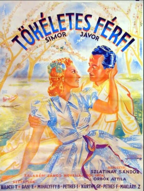 Tökéletes férfi (1939) poster