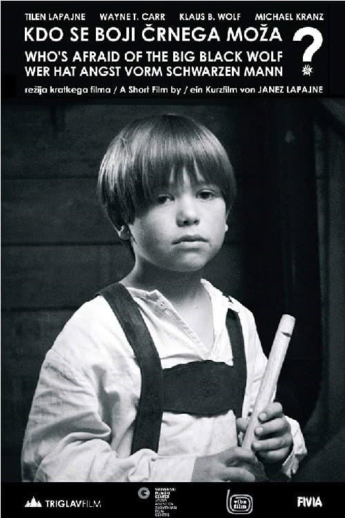 Kdo se boji črnega moža? (2012) poster