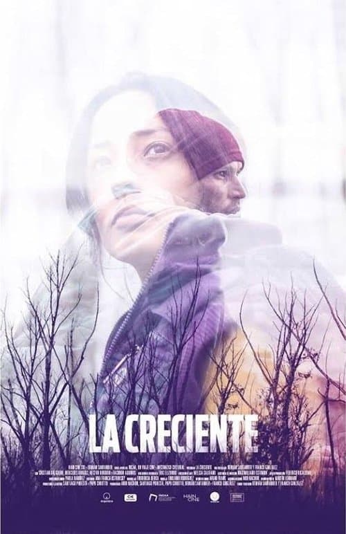 La creciente (2019) poster