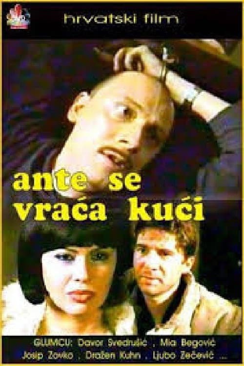 Ante se vraća kući (2001) poster