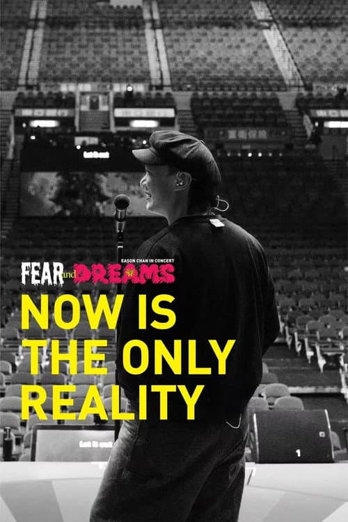 FEAR and DREAMS: NOW is the only reality (2025) poster