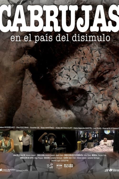Cabrujas en el país del disimulo (2017) poster