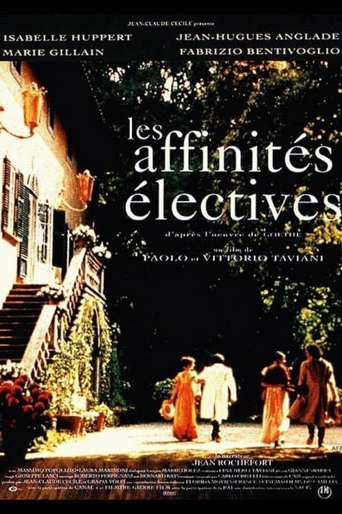 Le affinità elettive (1996) poster