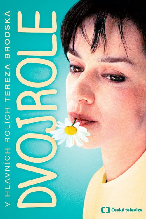 Dvojrole (1999) poster