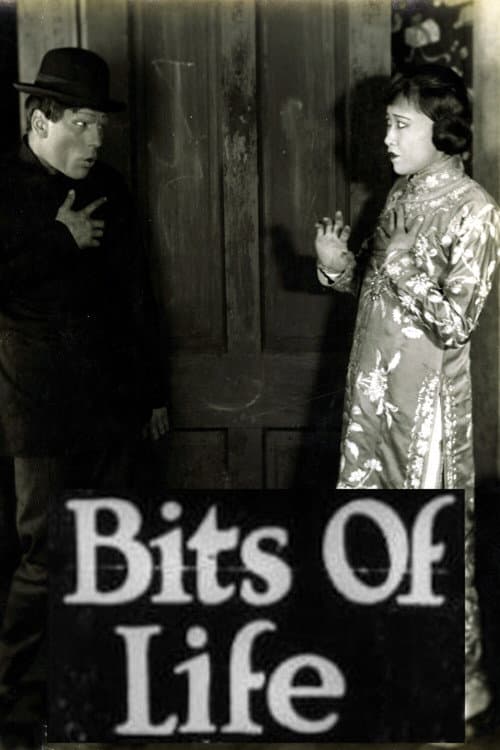 Bits of Life (1921) poster