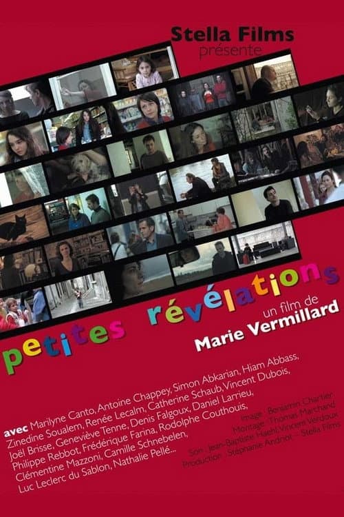 Petites révélations (2008) poster