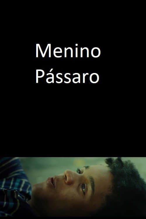Menino Pássaro (2018) poster