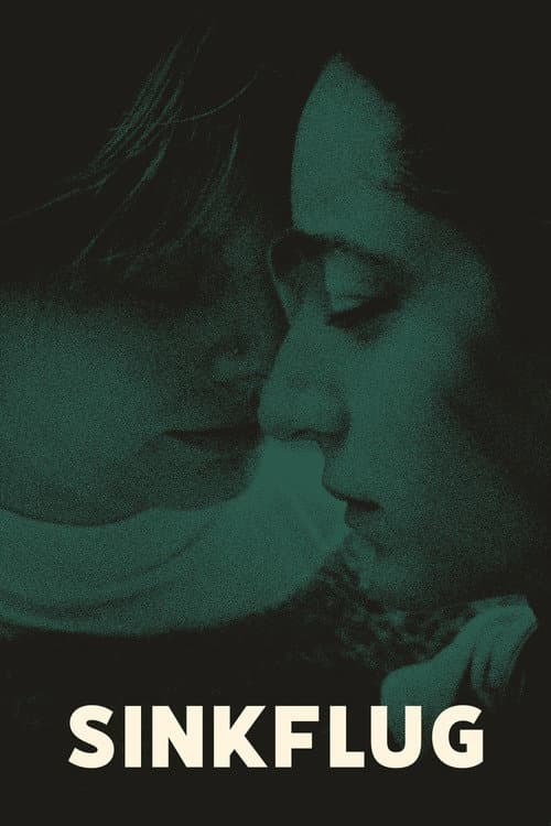 Sinkflug (2026) poster