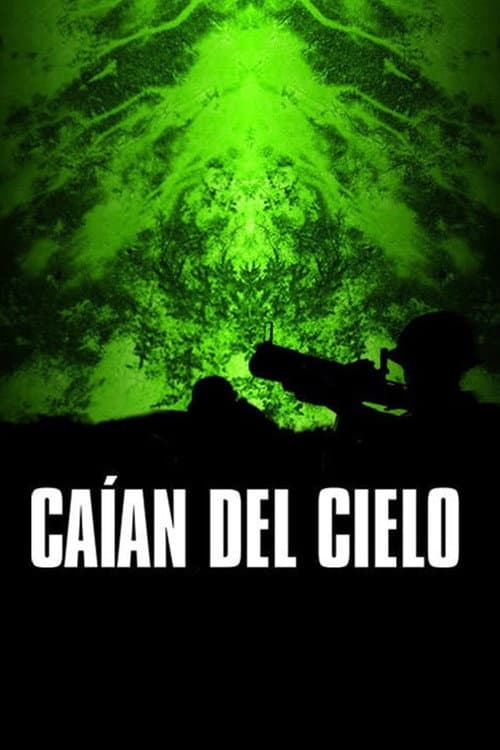 Caían del cielo (2025) poster