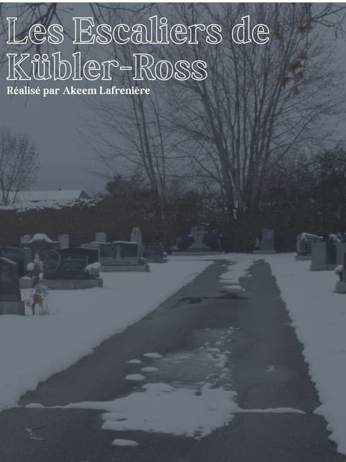 Les Escaliers de Kübler-Ross (2026) poster