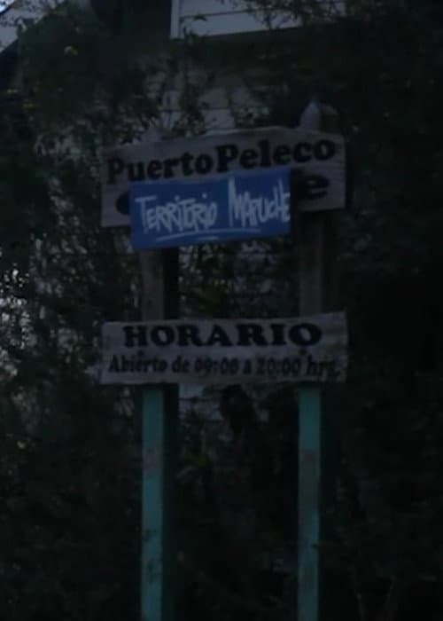 Puerto Peleco (2023) poster