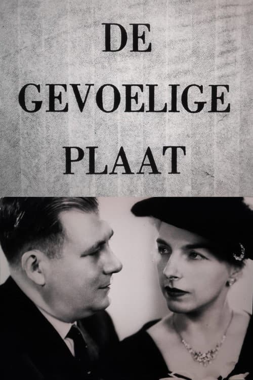 De gevoelige plaat (1976) poster