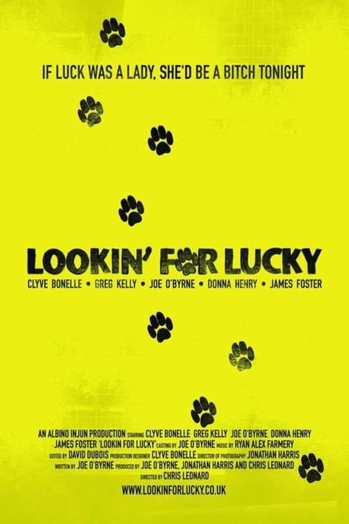 Lookin' For Lucky (2009) poster
