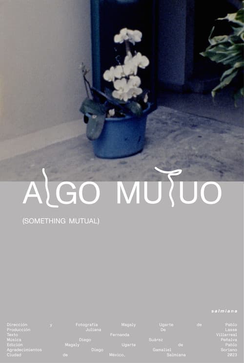 Algo mutuo (2024) poster