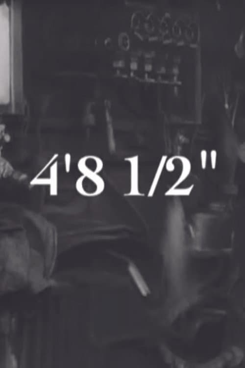 4'8 1/2" (2011) poster