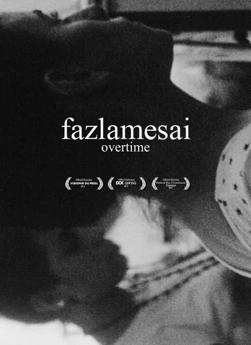 Fazlamesai (2011) poster