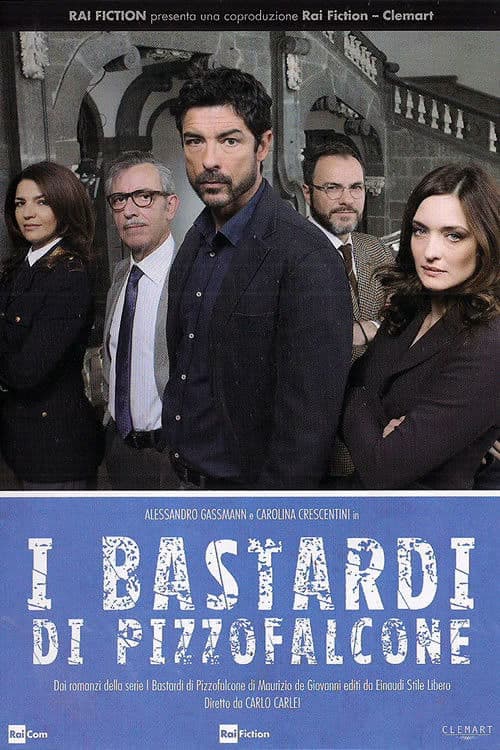 I bastardi di Pizzofalcone (2017) poster