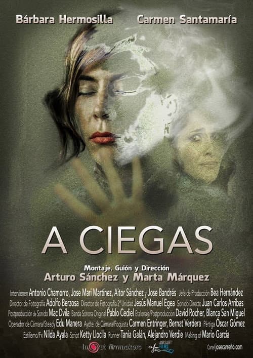 A ciegas (2016) poster