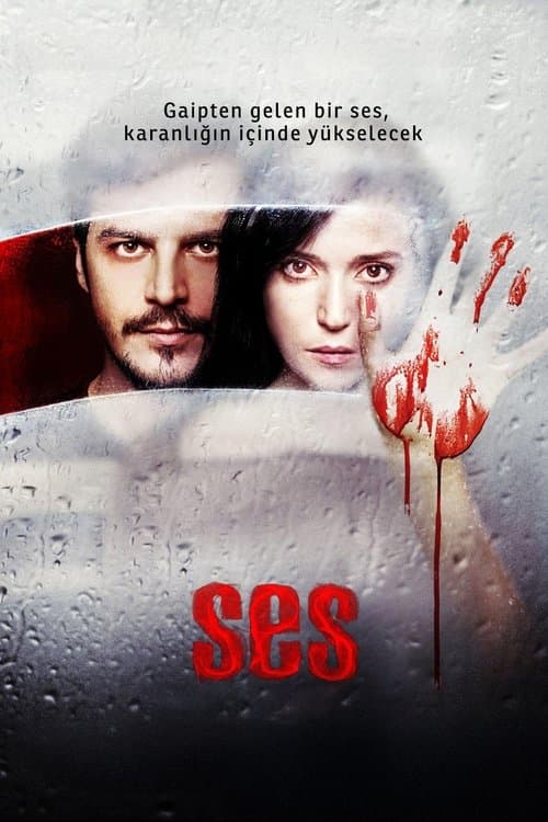 Ses (2010) poster