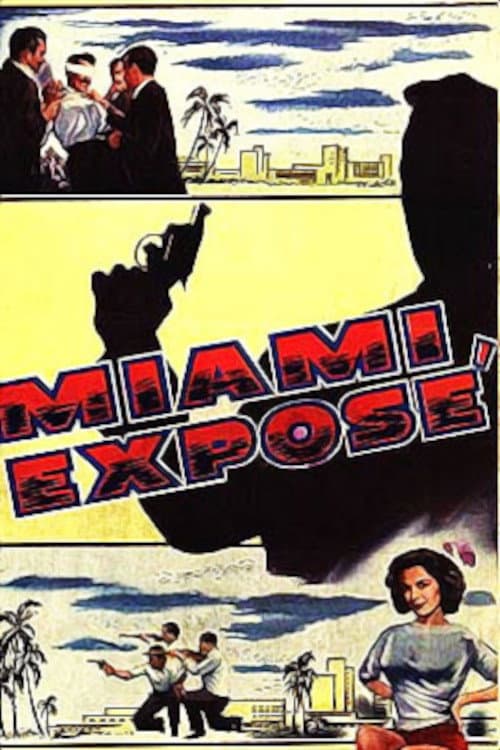 Miami Exposé (1956) poster