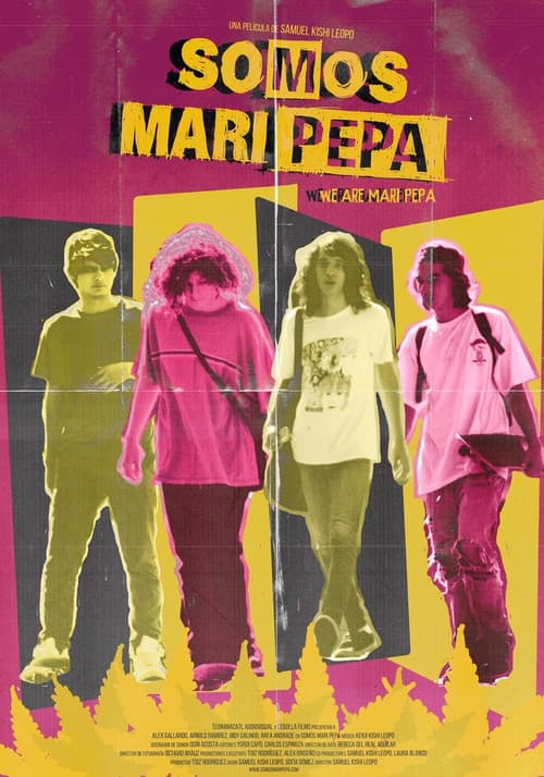 Somos Mari Pepa (2013) poster