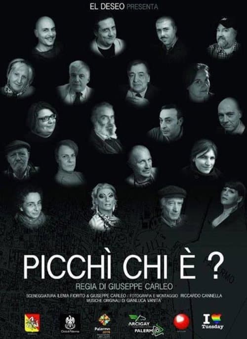 Picchì chi è? (2013) poster