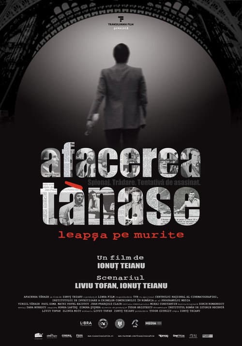 Afacerea Tǎnase. Leapşa Pe Murite (2013) poster