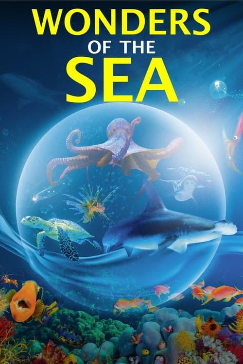Wonderen van de Zee (2017) poster