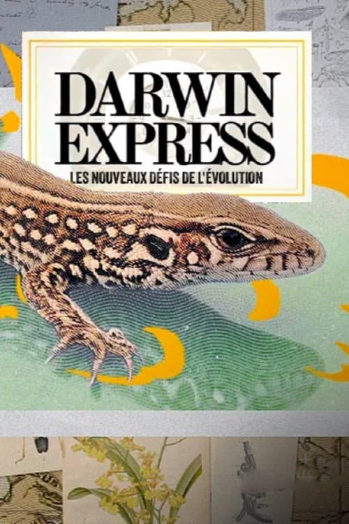 Darwin express - Les nouveaux défis de l'évolution (2025) poster