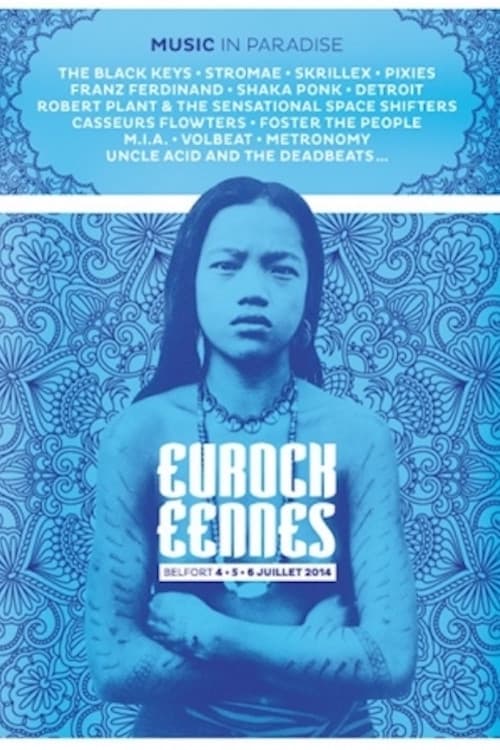 The Black Keys - Festival des Eurockéennes de Belfort 2014 (2014) poster