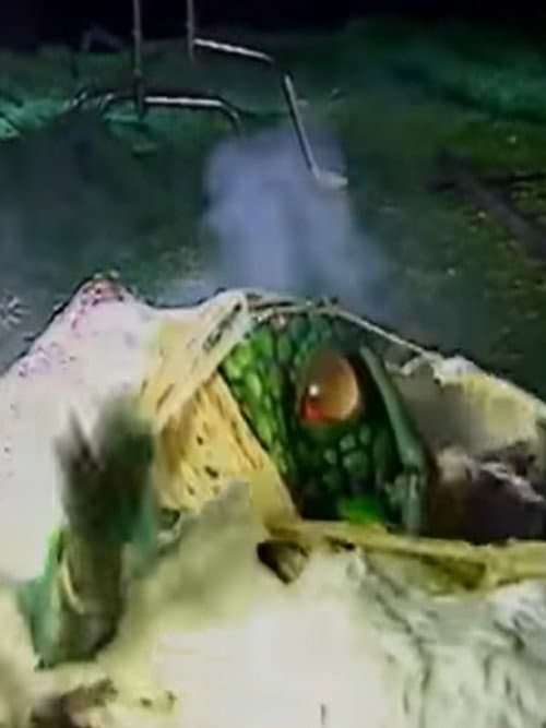 Videozone: The Making of Seedpeople (1992) poster