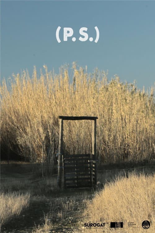 (P.S.) (2024) poster