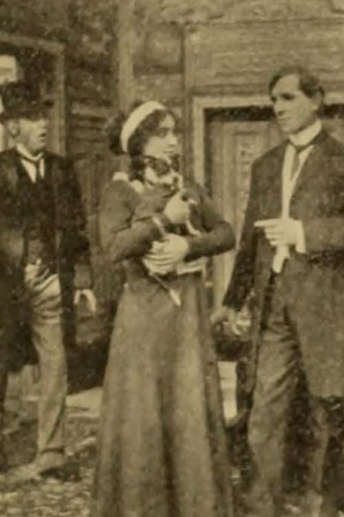 Mixed Pets (1911) poster