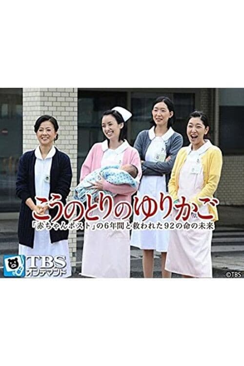 こうのとりのゆりかご〜「赤ちゃんポスト」の6年間と救われた92の命の未来〜 (2013) poster
