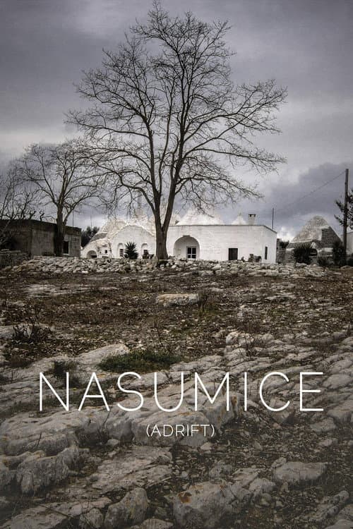 Nasumice (2018) poster