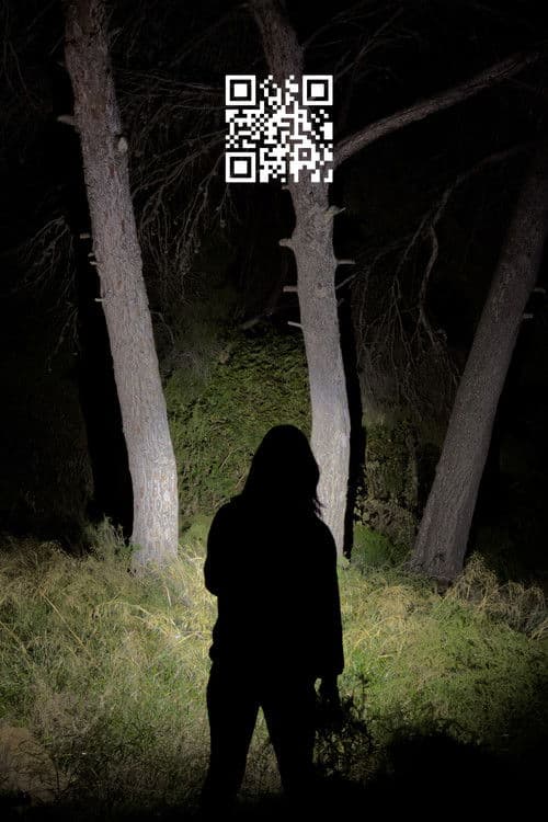 Q.R. (2025) poster
