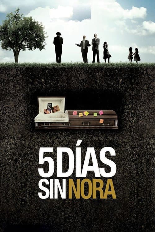 Cinco días sin Nora (2008) poster