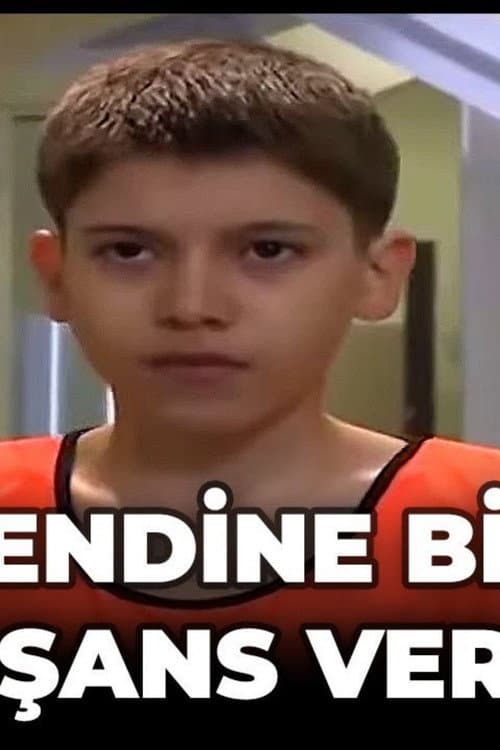 Kendine Bir Şans Ver (2013) poster