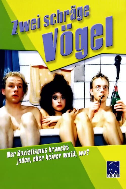 Zwei schräge Vögel (1989) poster