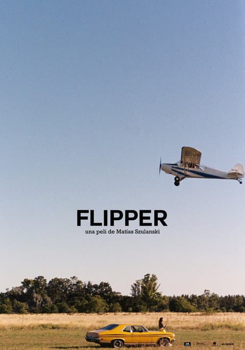 Flipper (2021) poster