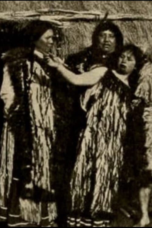 Loved by a Maori Chieftess (1913) poster