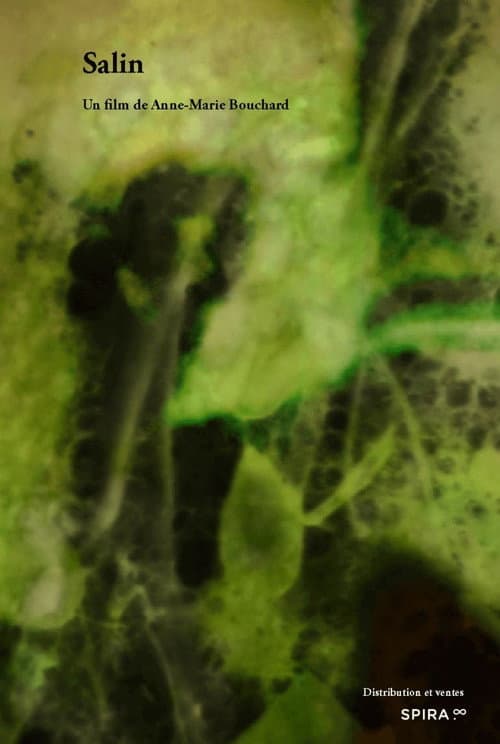 Salin (2022) poster