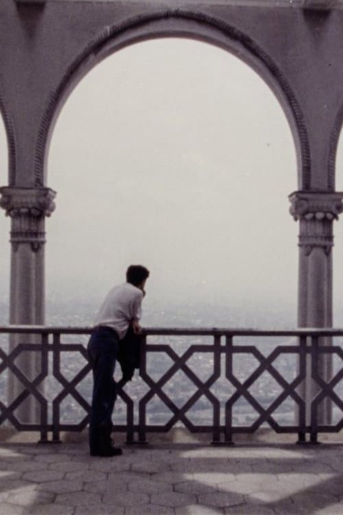 During the Many Years (1992) poster