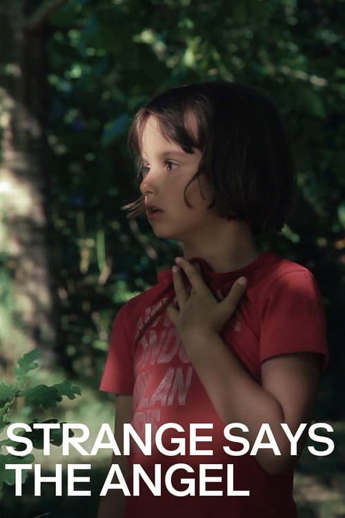 Étrange dit l'ange (2017) poster