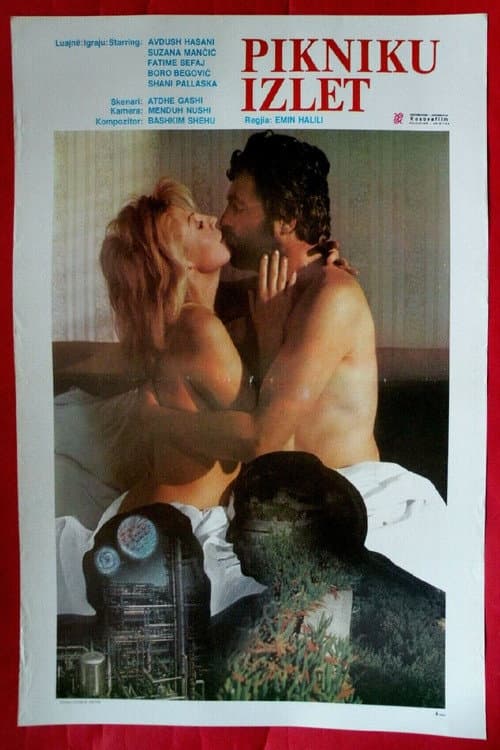 Pikniku (1986) poster